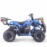 Taomotor D125 Kids ATV