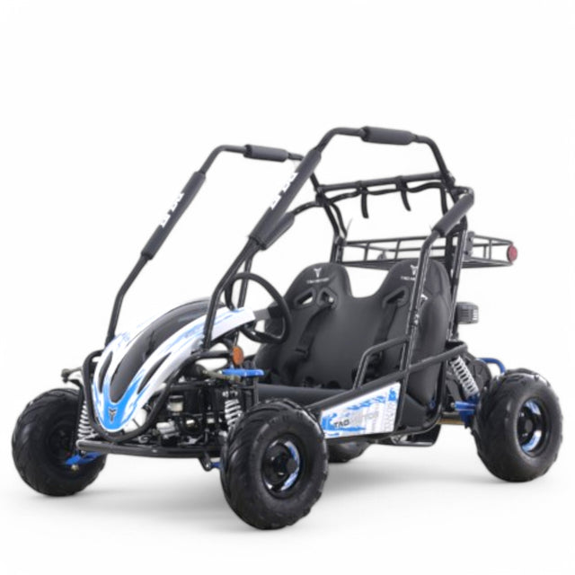 Taomotor Baja Sprinter 200 Go Kart - TribalMotorsports