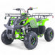 Taomotor D125 Kids ATV