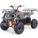 Taomotor D125 Kids ATV