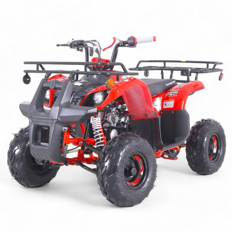 Taomotor D125 Kids ATV