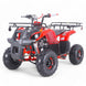 Taomotor D125 Kids ATV