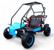 Coolster RX 125cc Go Kart - TribalMotorsports