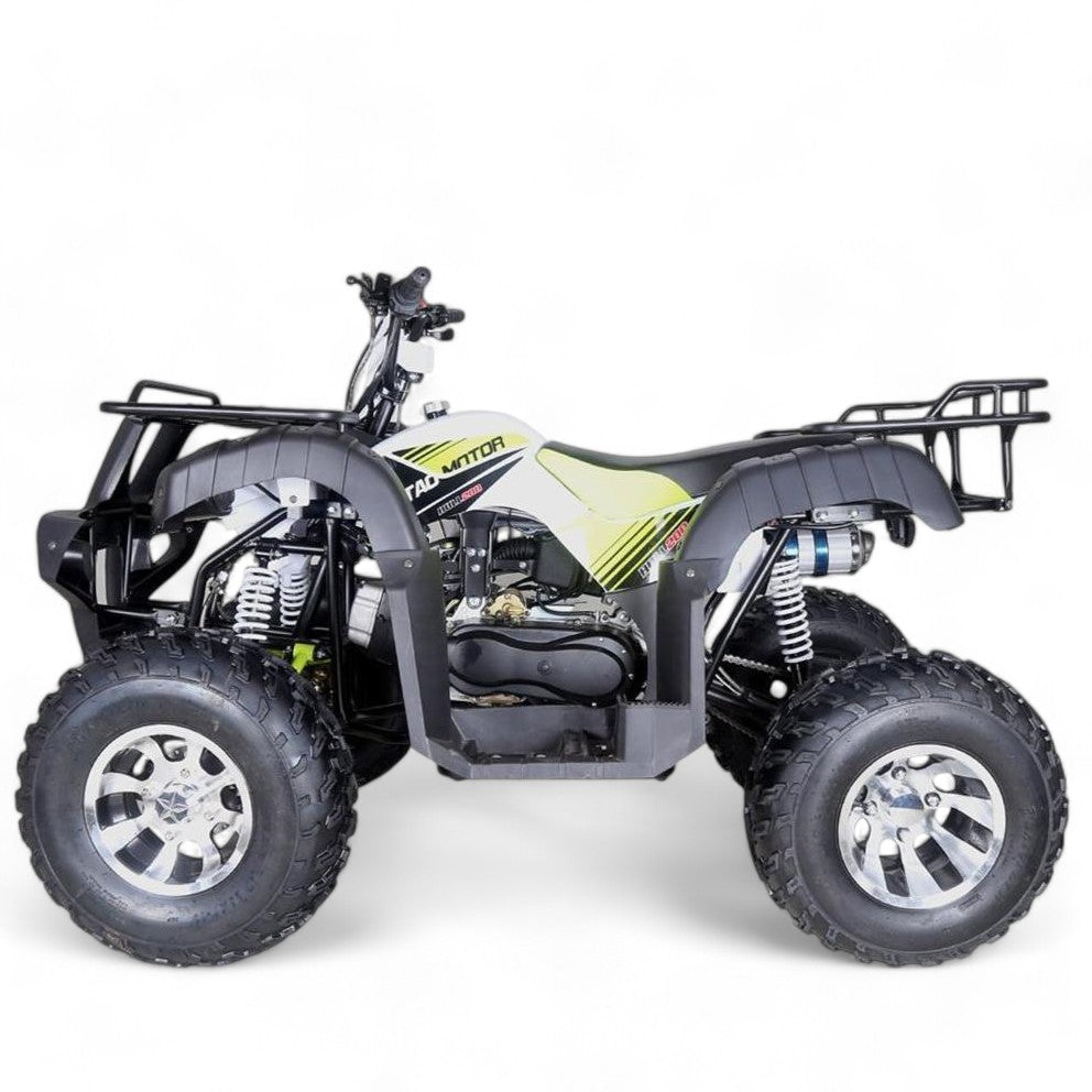 TaoMotor Bull 200 ATV