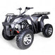 TaoMotor Bull 200 ATV