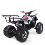 TaoMotor T-Force 125cc Kids ATV