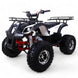 TaoMotor T-Force 125cc Kids ATV