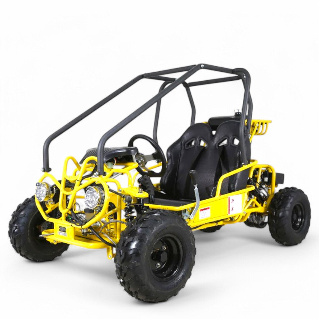 TaoMotor 107cc Kids Go-Kart