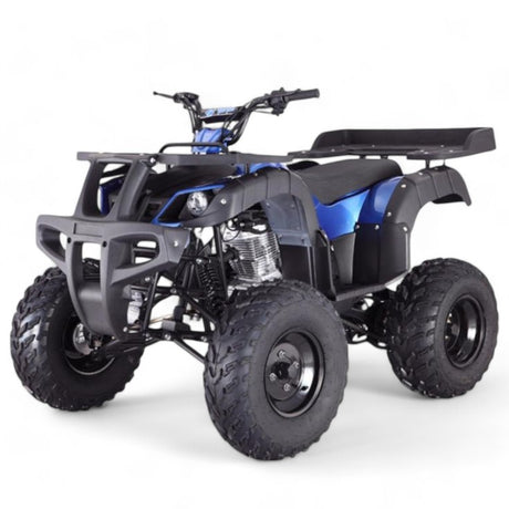 TaoMotor Rhino 250 ATV