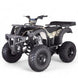 TaoMotor Rhino 250 ATV