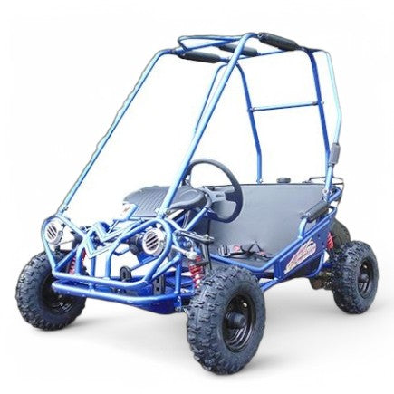 Trailmaster Mini XRS+ 163cc Kids Go-Kart