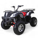 TaoMotor Bull 200 ATV