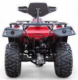 Terminator 300cc 4x4 ATV