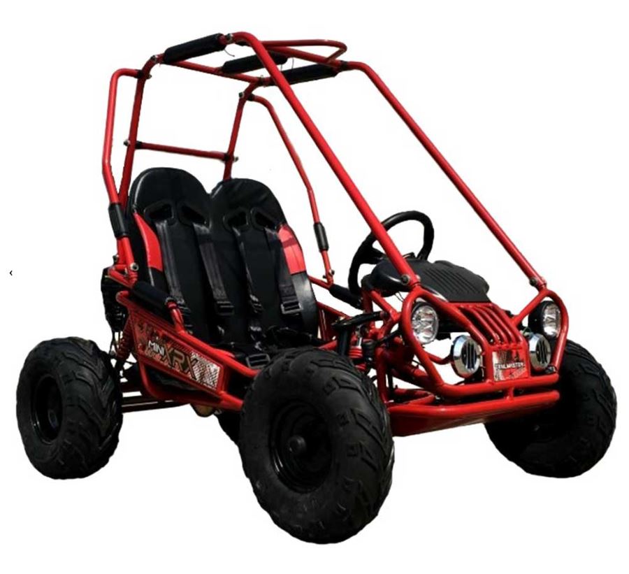 OVERSTOCK Inventory Clearance Sale! TrailMaster Mini XRX KIDS Go Kart  w/REVERSE-ages 4-9 Fully Assembled-Black, Dave Kingston's Karts